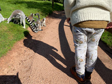 Load image into Gallery viewer, Animals on Safari - Harem pants
